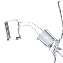 Bear Quartz Beveled Flat Top Banger -Smoking Accessories Shop bear quartz beveled flat top banger 7 114408