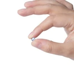 Bear Quartz Terp Pearls 10 Bear Quartz Terp Pearls -Smoking Accessories Shop bear quartz terp pearls 3 121905