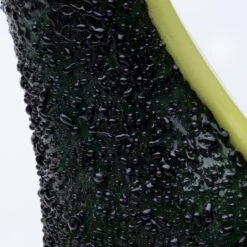 Empire Glassworks Avacdope Dab Rig -Smoking Accessories Shop empire glassworks avacdope dab rig 16 335985